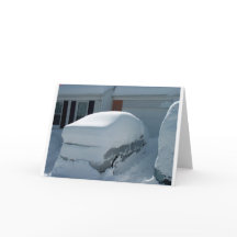 車の上に「雪の車」。ブリザード2010