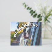 車の中のかわいいボクサー犬 引越しのお知らせ 案内ポストカード (スタンド正面)