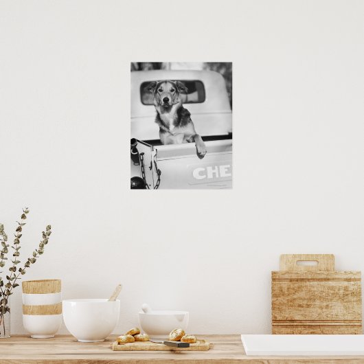 車の中の犬。 ポスター (キッチン)