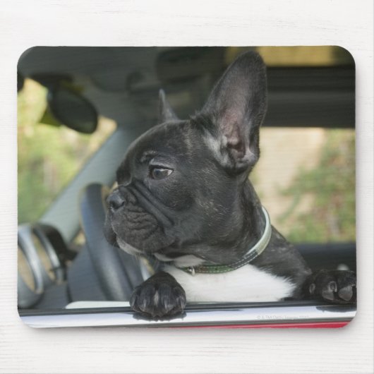 車の中の犬 マウスパッド (正面)