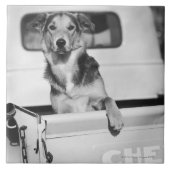 車の犬 タイル (正面)