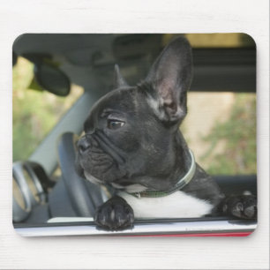 車の犬 マウスパッド