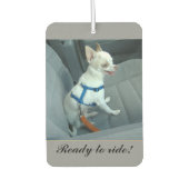 車の空気清浄機に乗る準備ができている カーエアーフレッシュナー (正面)