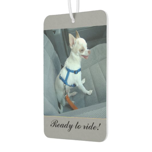 車の空気清浄機に乗る準備ができている カーエアーフレッシュナー (左)