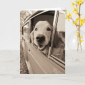 車の窓から犬が覗き込む カード (黄色い花)