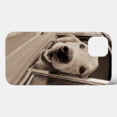 車の窓から犬が覗き込む Case-Mate iPhoneケース (裏面 (横))