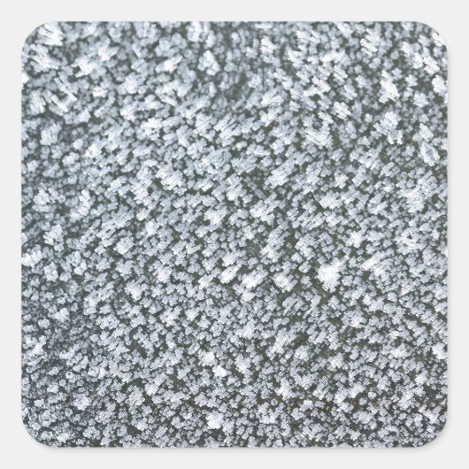 車の窓に霜が降りる スクエアシール (正面)