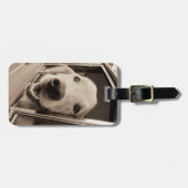 車の窓をかいま見ている犬 ラゲッジタグ (正面横)