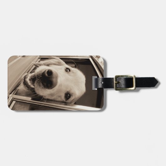 車の窓をかいま見ている犬 ラゲッジタグ (正面横)