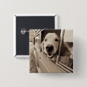 車の窓をかいま見ている犬 缶バッジ (正面&裏面)