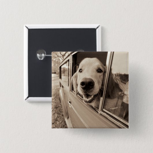 車の窓をかいま見ている犬 缶バッジ (正面&裏面)