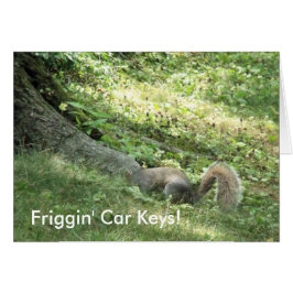 車の鍵を捜しているリス