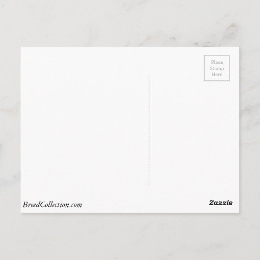 車を運転する巨人シュナウザー – 上に木 ポストカード (裏面)