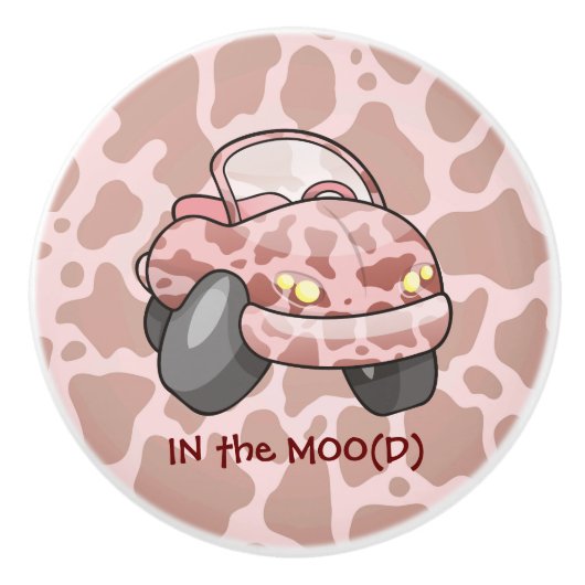 車モー セラミックノブ (正面)