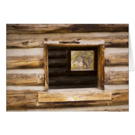 車室内の窓を通り抜け