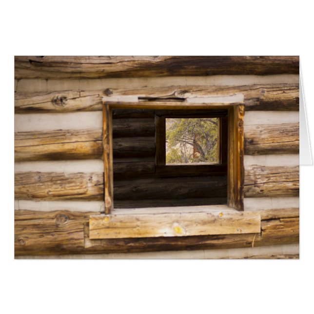 車室内の窓を通り抜け (正面横)