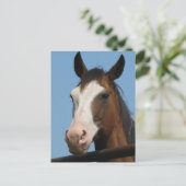 車得屋は？ ポストカード (スタンド正面)