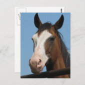 車得屋は？ ポストカード (正面/裏面)