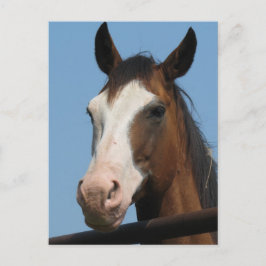 車得屋は？ ポストカード