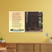 車線のビューRedwoodフラット キャンバスプリント (インサイチュ (リビング))