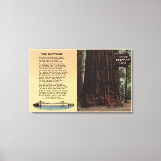 車線のビューRedwoodフラット キャンバスプリント (正面)