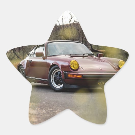 車 星シール (正面)