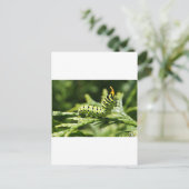 軌跡2012 ポストカード (スタンド正面)