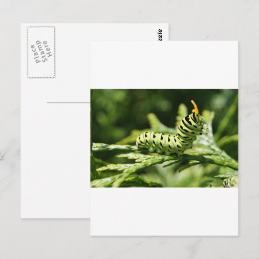 軌跡2012 ポストカード (正面/裏面)