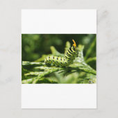 軌跡2012 ポストカード (正面)