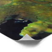 軍人魚 ポスター (角)