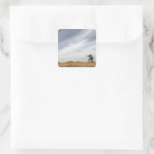 軍曹が警備を行う スクエアシール (バッグ)