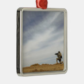 軍曹が警備を行う メタルオーナメント (右)