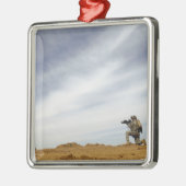 軍曹が警備を行う メタルオーナメント (左)