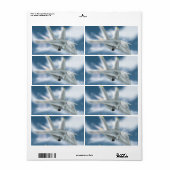 軍用ジェット機 ラベル (フルシート)