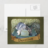 軍用ジャーマンシェパード ポストカード (正面/裏面)