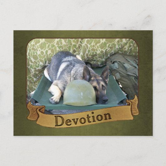 軍用ジャーマンシェパード ポストカード (正面)