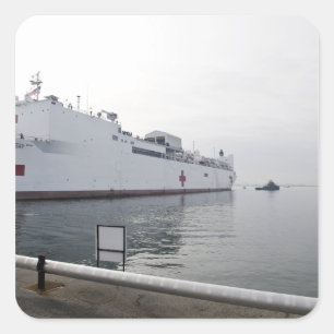 軍隊のSealift Command病院船 スクエアシール