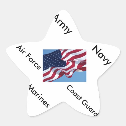 軍隊シール 星シール (正面)