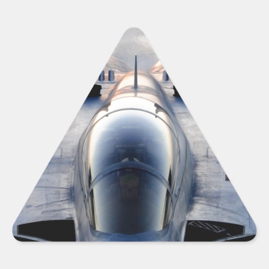 軍隊ジェット 三角形シール (正面)
