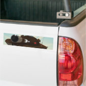 軍隊槽 バンパーステッカー (トラック上)