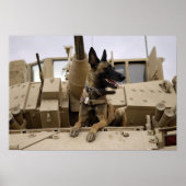 軍隊犬がM2A3に座る ポスター (正面)