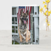 軍隊犬 カード (黄色い花)