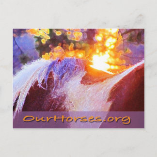 軒裏はがき ポストカード