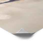 軟体動物シーシェル ポスター (角)