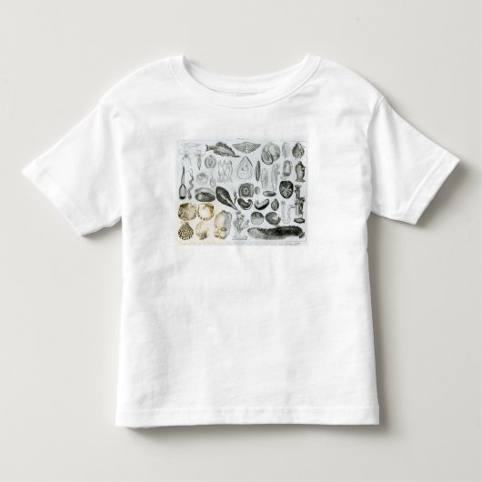 軟体動物 トドラーTシャツ (正面)