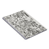 軟体動物 ノートブック (右側)