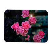 軟化柔軟なフォトマグネット マグネット (横)