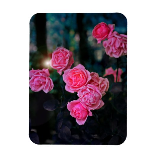 軟化柔軟なフォトマグネット マグネット (縦)