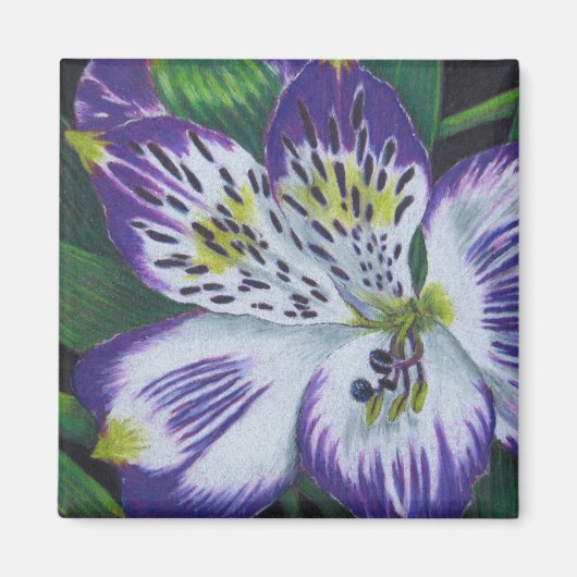 軟性気腫 マグネット (正面)