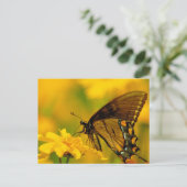 軟着陸 ポストカード (スタンド正面)